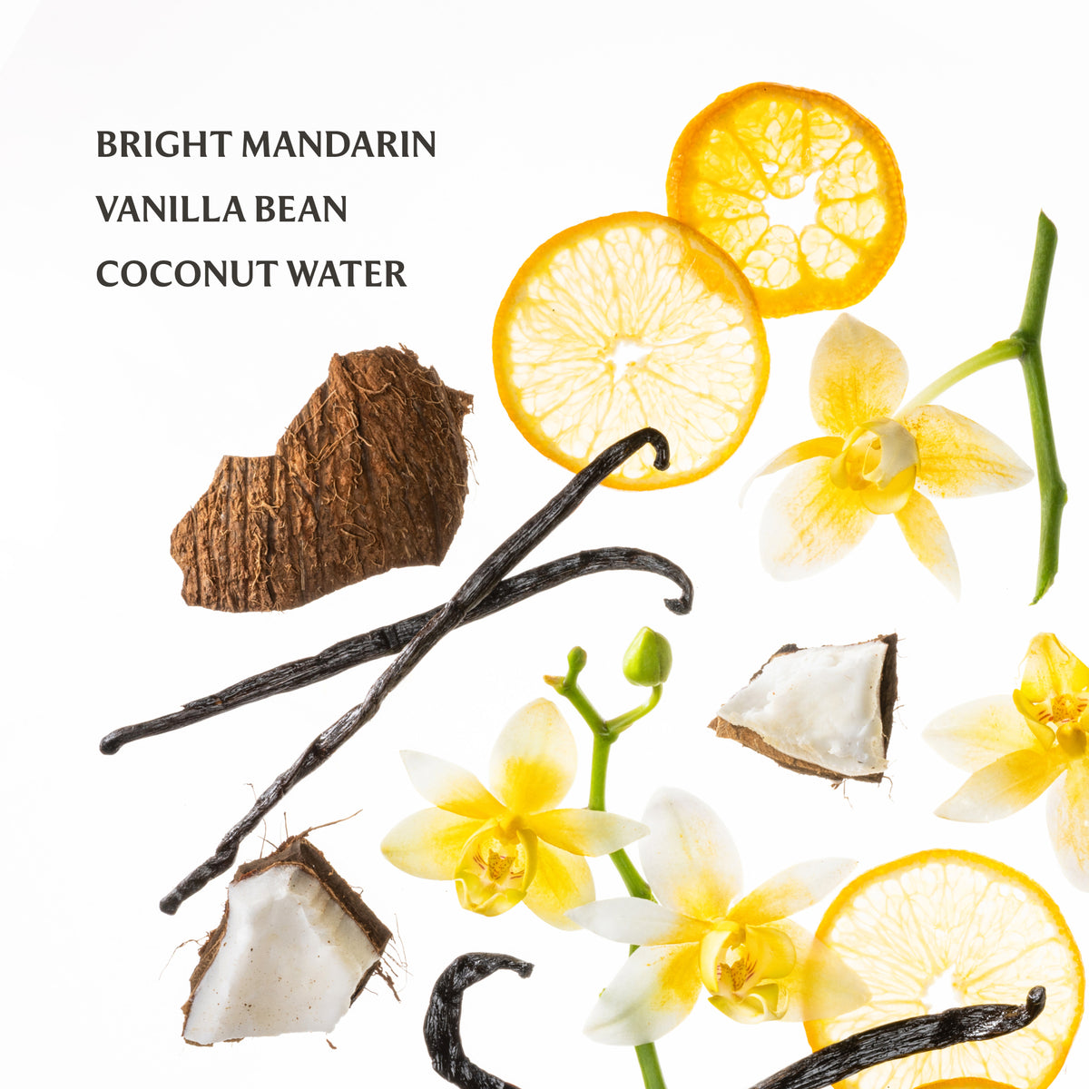 Vanilla Blossom 30ml Power Mist Hand Sanitizer